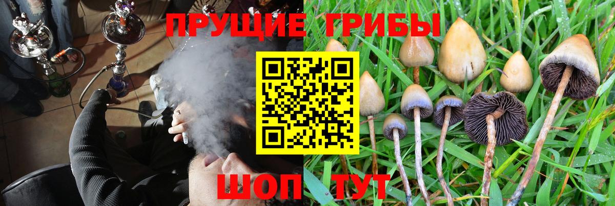 Галлюциногенные грибы Psilocybine cubensis  Вход с VPN  Галлюциногенные грибы GOLDEN TEACHER  Ялуторовск 